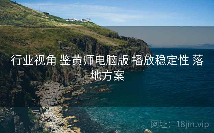 行业视角 鉴黄师电脑版 播放稳定性 落地方案