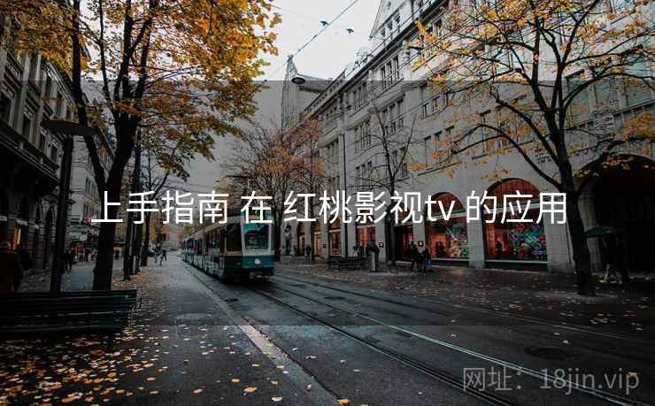 上手指南 在 红桃影视tv 的应用 上手指南 在 红桃影视tv 的应用